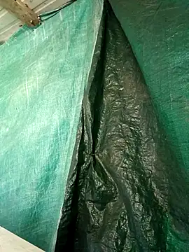 ShawnandDani7074 online show from April 15, 4:36 pm