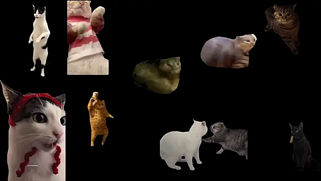 ch0wn m online show from November 17, 10:54 am