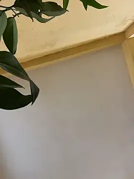 femboyslqueen online show from December 1, 6:40 am