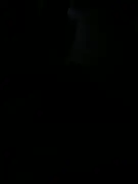 Snapshot of Reeelo chatting on November 7, 3:06 am Reeelo online show from November 7, 3:06 am