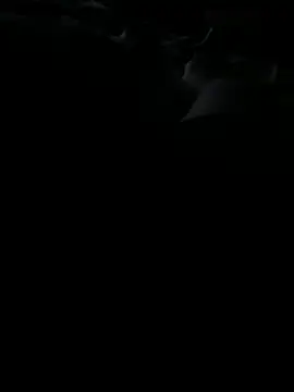 Snapshot of Reeelo chatting on November 25, 3:17 am Reeelo online show from November 25, 3:17 am