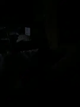 Snapshot of Reeelo chatting on December 15, 4:06 am Reeelo online show from December 15, 4:06 am