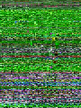 Emaline Fane online show from December 19, 6:15 pm