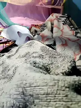 m11a2f3a4z5 online show from February 14, 11:51 am