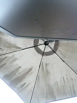 Sallem Pink online show from April 4, 11:18 am