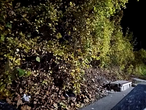 Snapshot of sloppytopkins chatting on November 6, 8:15 am sloppytopkins online show from November 6, 8:15 am