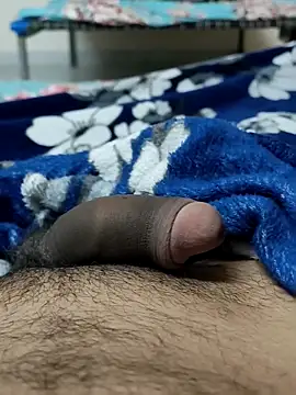 Snapshot of Bull54321 chatting on December 15, 4:33 pm Bull54321 online show from December 15, 4:33 pm