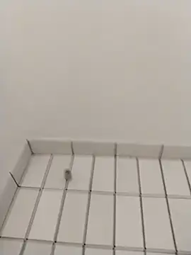 Ajayy01 online show from October 31, 7:42 am