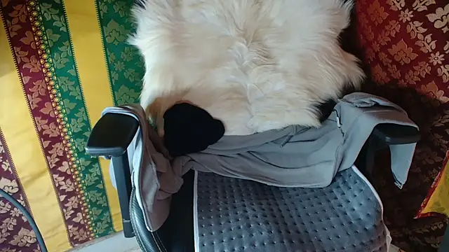 JUSTFORRICH online show from April 15, 12:34 pm