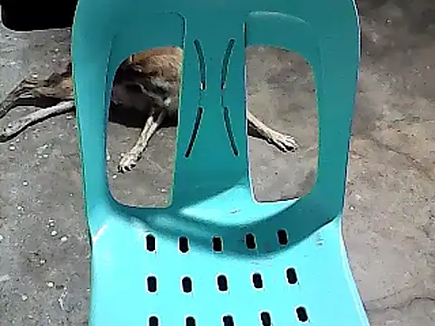 sexyannie25 online show from November 24, 6:18 pm