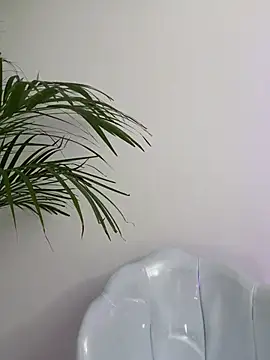 Ariana2017 online show from February 6, 10:24 pm