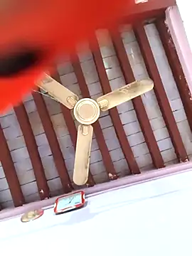 Love-pari077 online show from February 5, 2:33 pm