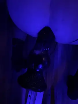 Snapshot of BottomCamp chatting on February 3, 12:42 am BottomCamp online show from February 3, 12:42 am