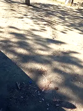 Snapshot of bullut06 chatting on September 23, 6:38 am bullut06 online show from September 23, 6:38 am