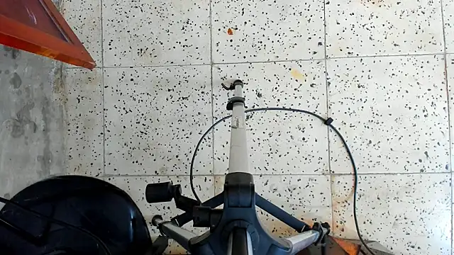 David niet online show from October 16, 5:47 pm