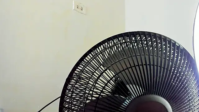 David niet online show from November 4, 6:18 pm