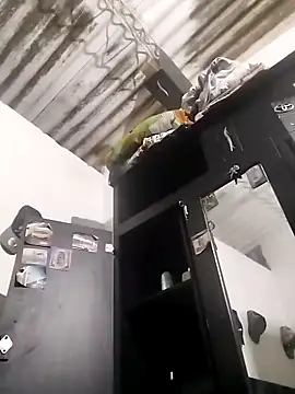 amelie sex online show from March 5, 4:14 pm