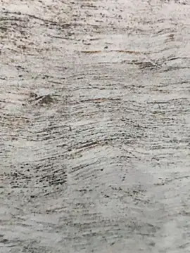 hot plak online show from November 30, 5:17 pm