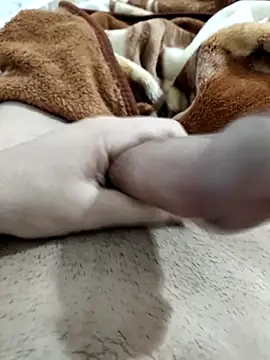 Zepe 12 online show from February 10, 8:40 am