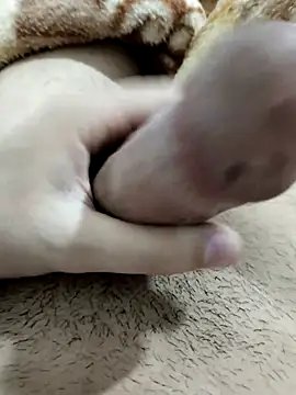 Zepe 12 online show from February 13, 11:34 pm