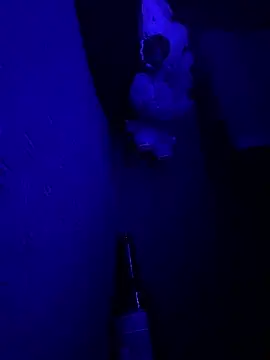 MikeFake online show from February 19, 1:45 am