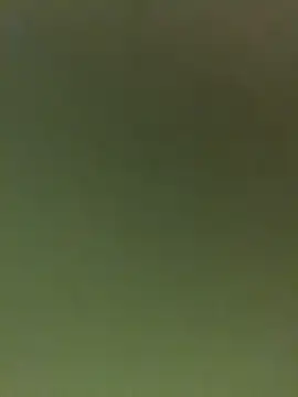 Snapshot of JuanitaMore01 chatting on February 16, 9:55 pm JuanitaMore01 online show from February 16, 9:55 pm