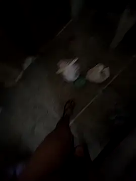 desir3dlund online show from April 28, 2:21 am