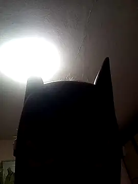 AmandaXXX98 online show from November 17, 2:56 pm