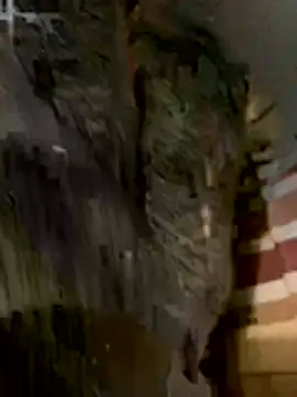 Snapshot of anhye8 chatting on February 8, 3:37 pm anhye8 online show from February 8, 3:37 pm