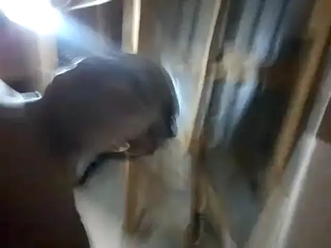 Snapshot of BigAssjuicy26 chatting on October 27, 10:14 pm BigAssjuicy26 online show from October 27, 10:14 pm