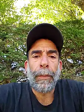 Stingles online show from August 7, 10:28 am