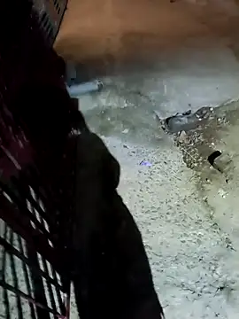 nughtytommy01 online show from April 10, 8:02 pm