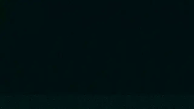 LeeCox online show from December 21, 9:33 am