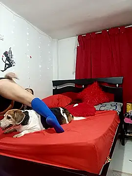 Lady 16 online show from February 13, 4:30 am