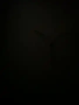 Snapshot of succy33 chatting on October 7, 4:59 pm succy33 online show from October 7, 4:59 pm