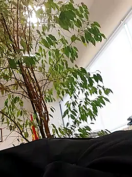 Snapshot of Emily_de_Carla chatting on September 24, 3:26 pm Emily de Carla online show from September 24, 3:26 pm