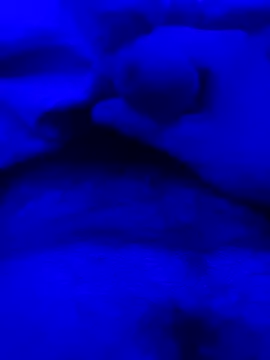 Derfick200 online show from December 2, 7:09 pm