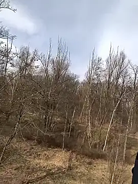 kot766 online show from March 25, 12:22 pm