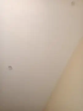 Snapshot of ElBufalo4l chatting on November 4, 1:21 pm ElBufalo4l online show from November 4, 1:21 pm