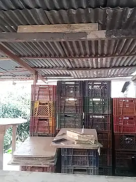 hoteder online show from February 16, 12:45 pm