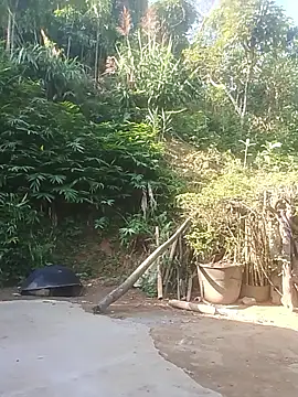 Snapshot of Ruaiuoi chatting on May 26, 12:39 am Ruaiuoi online show from May 26, 12:39 am