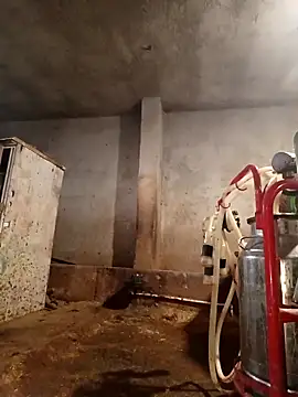 ezgi2545 online show from February 22, 3:10 pm