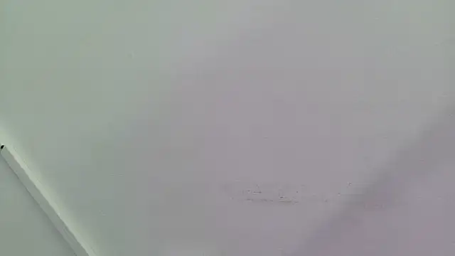 Lizbeth Rouse online show from September 28, 12:54 pm