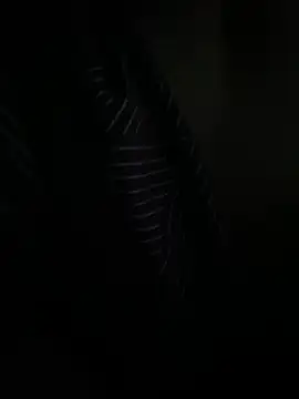 P E R V I T I N online show from March 31, 11:05 pm