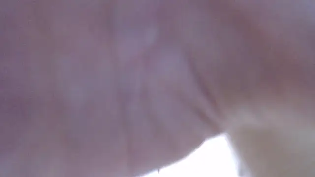 LillyDream2 online show from February 16, 10:22 am