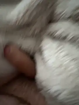 cumshot foryou online show from March 7, 4:04 pm