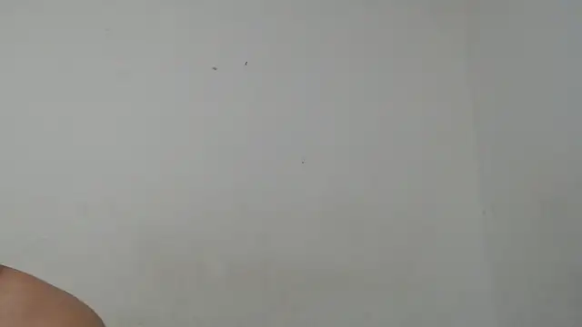 Ana ThiagoxX online show from September 14, 2:54 am