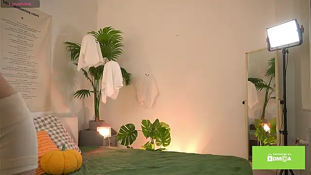 swtty meivi online show from October 25, 7:05 am