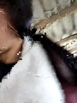 Sinejdk3 online show from February 16, 9:38 am