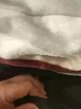 Snapshot of mM0140 chatting on January 13, 8:30 am mM0140 online show from January 13, 8:30 am